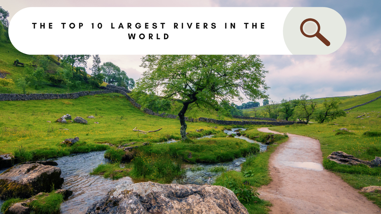 The Top 10 Largest Rivers in the World